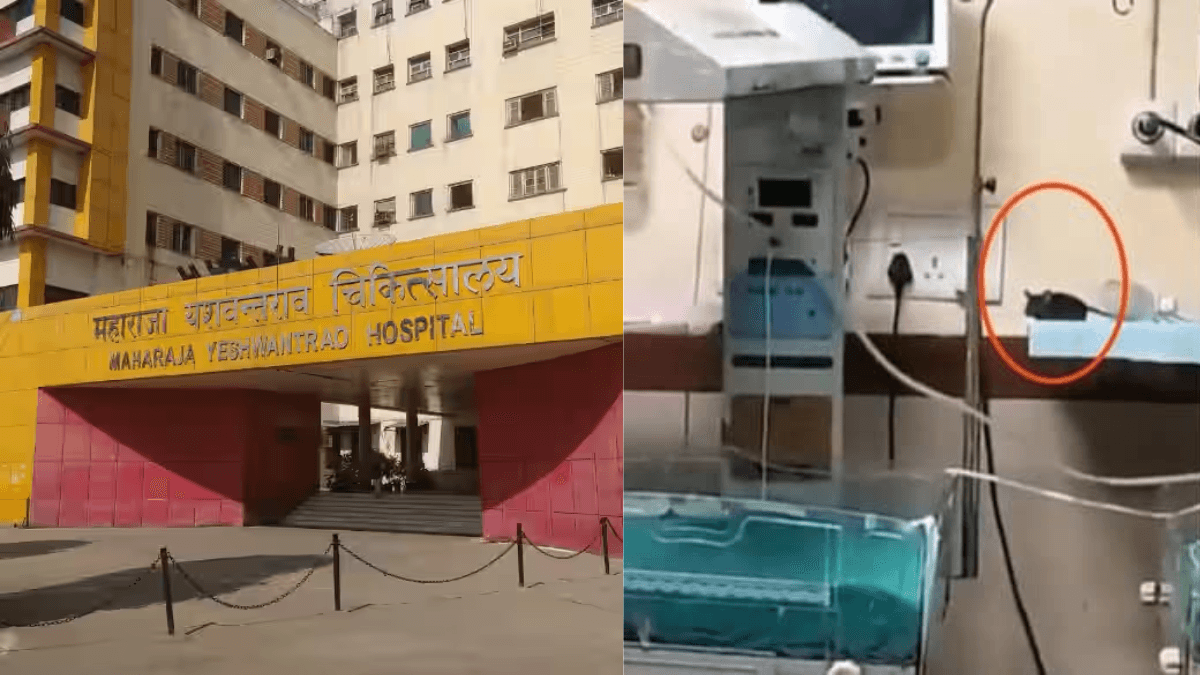 2 newborns die after rat bite incident at India hospital, staff suspended