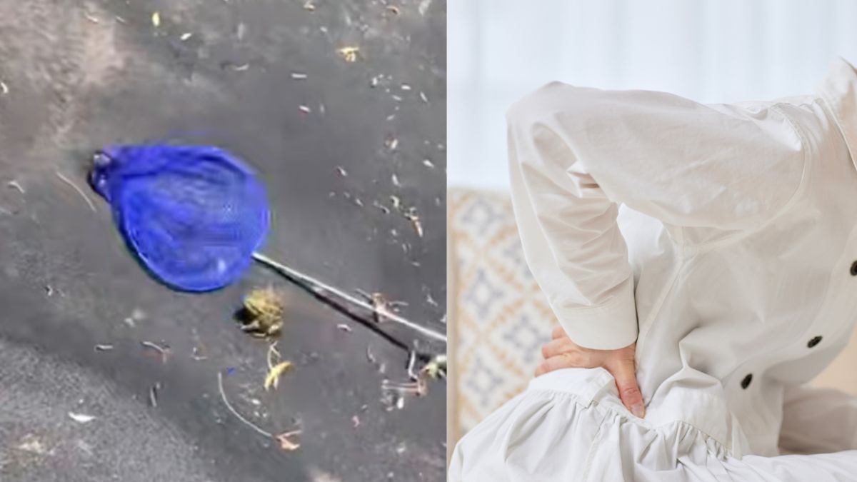 82-year-old Chinese woman hospitalised after swallowing eight live frogs to treat back pain