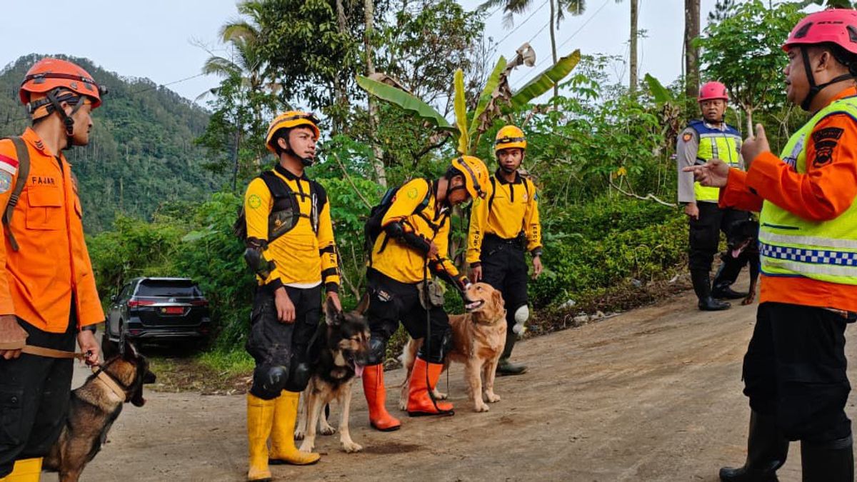 Indonesia landslide in Central Java leaves 10 dead as search operations continue