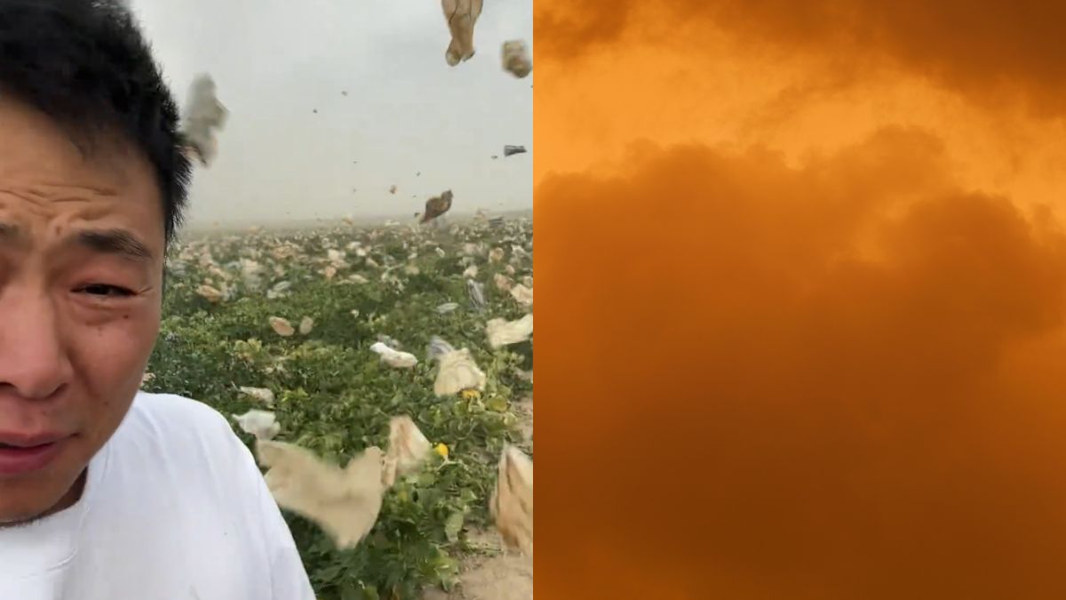 China, Xinjiang farmer forced to flee livestream as sandstorm blows hundreds of melon covers into the air