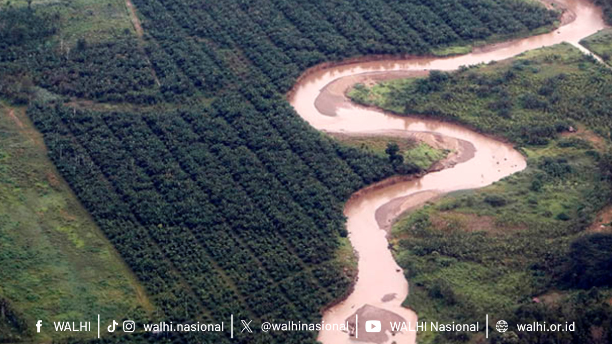 Environmental groups say Aceh floods were driven by deforestation and weak governance, not nature alone