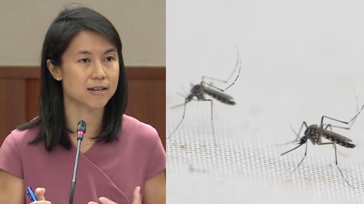 Wolbachia cuts dengue risk by over 70%, but not a ‘silver bullet’: Goh Hanyan