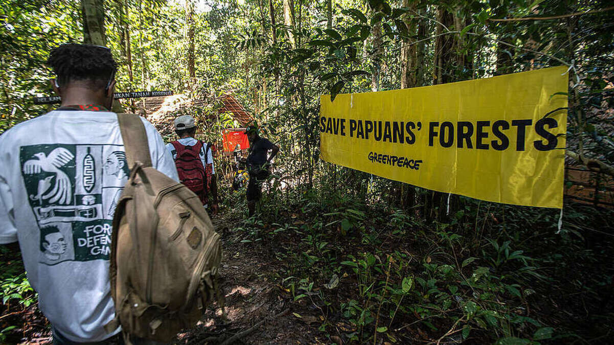 Greenpeace camp in Papua links Indigenous struggles as pressure grows on Indonesia’s rainforests