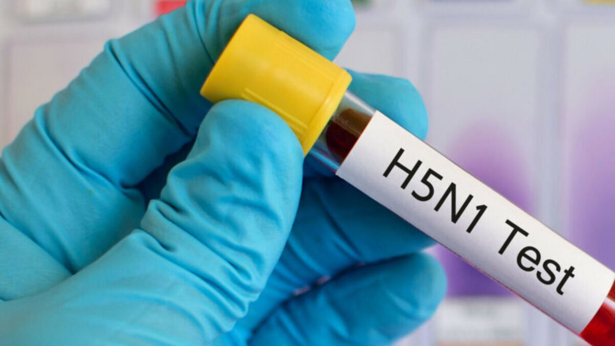 Cambodia confirms sixth H5N1 death in 2025 as authorities expand poultry checks and surveillance