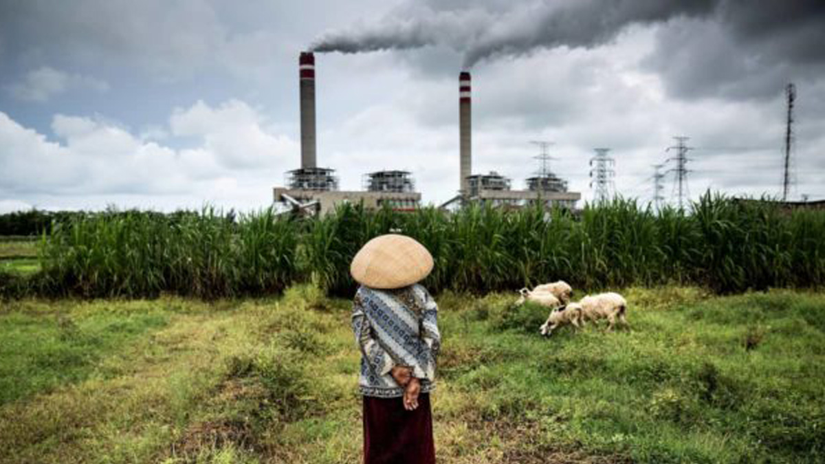 Indonesia urged to convert coal oversupply crisis into clean energy opportunity