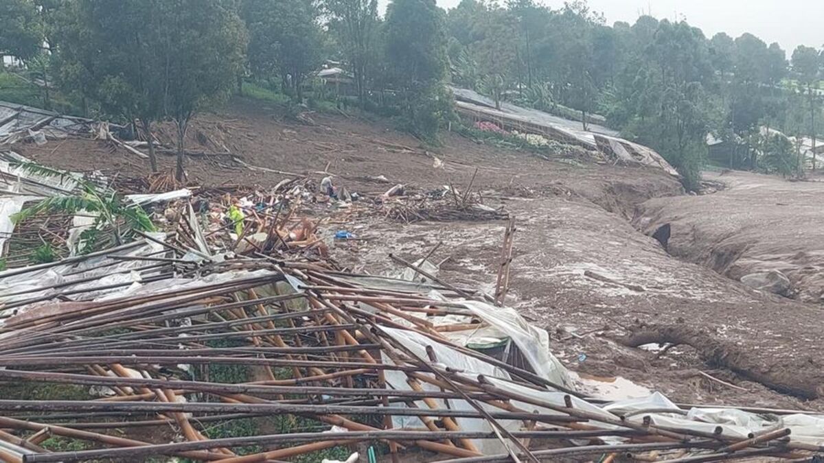 Death toll from West Java landslide rises to 74 as search enters ninth day