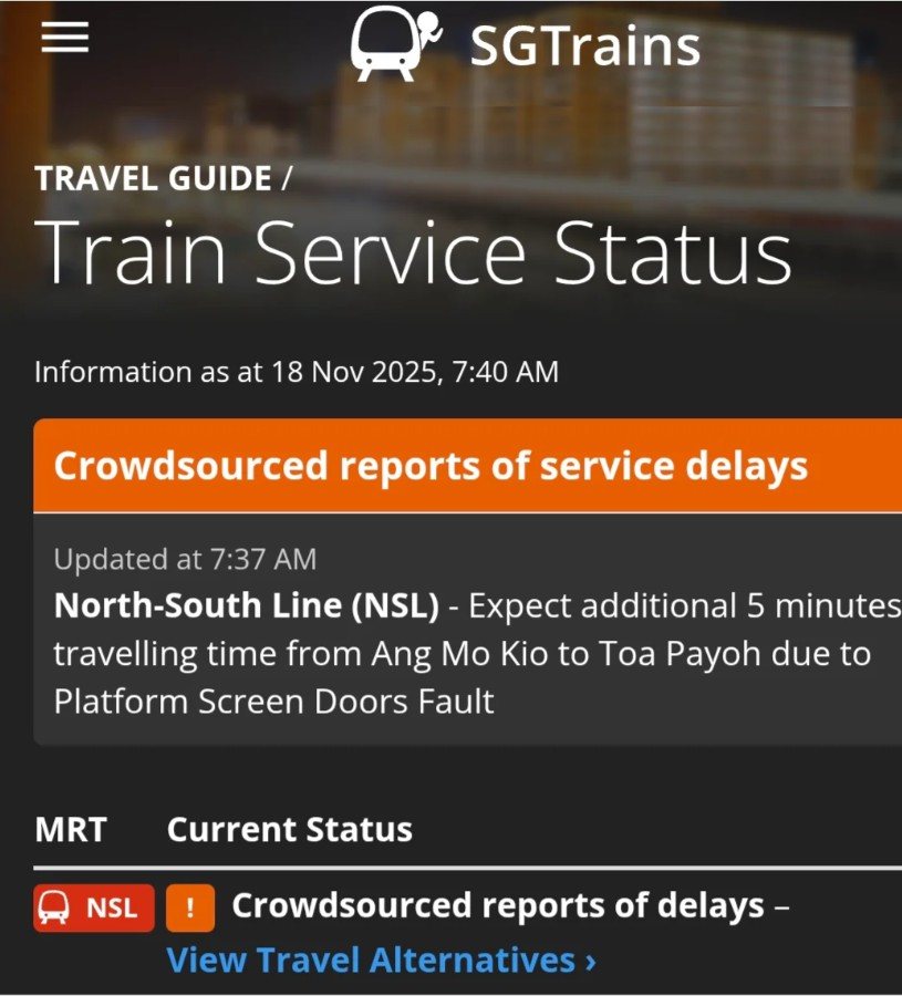 NSL 18 Nov 2025 delay.jpg