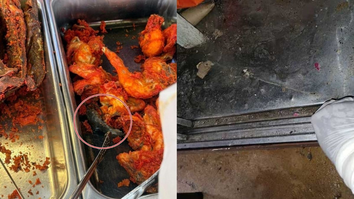 Nine stalls shut in Penang after fried rat found in chicken tray at food court in Malaysia