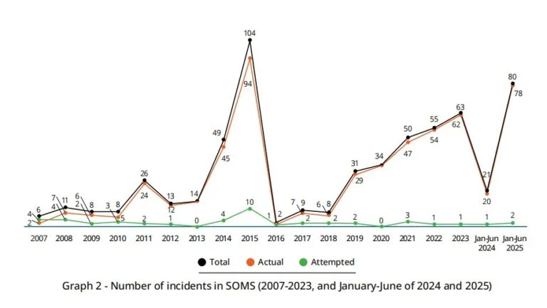 Number of Piracy.webp