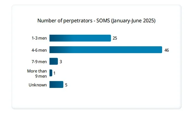 Number of perpetrators.webp