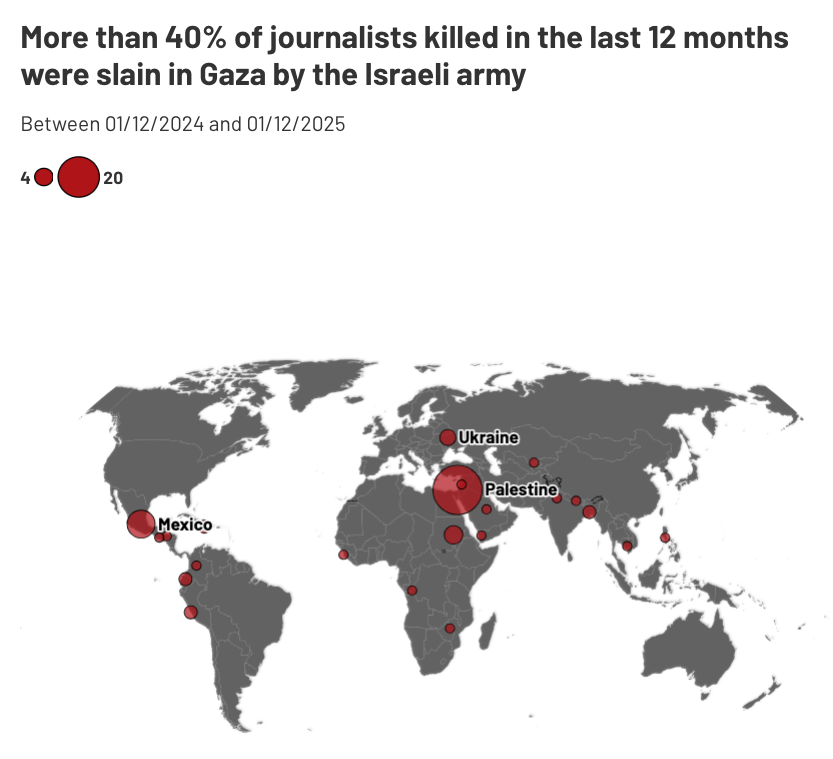 RSF 2025 Journalist 2.png