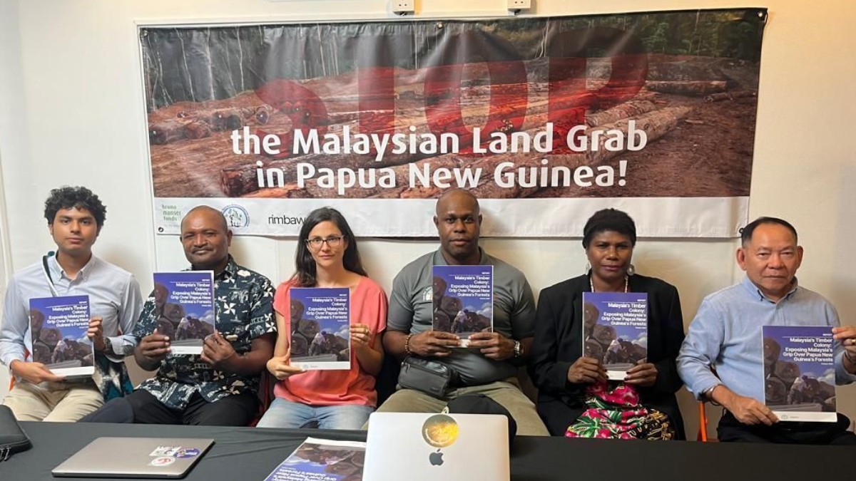 Malaysian timber companies accused of driving deforestation in Papua New Guinea