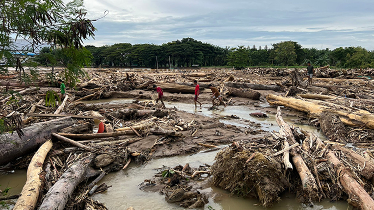 Indonesian government urged to declare national disaster emergency as Sumatra flood death toll rises