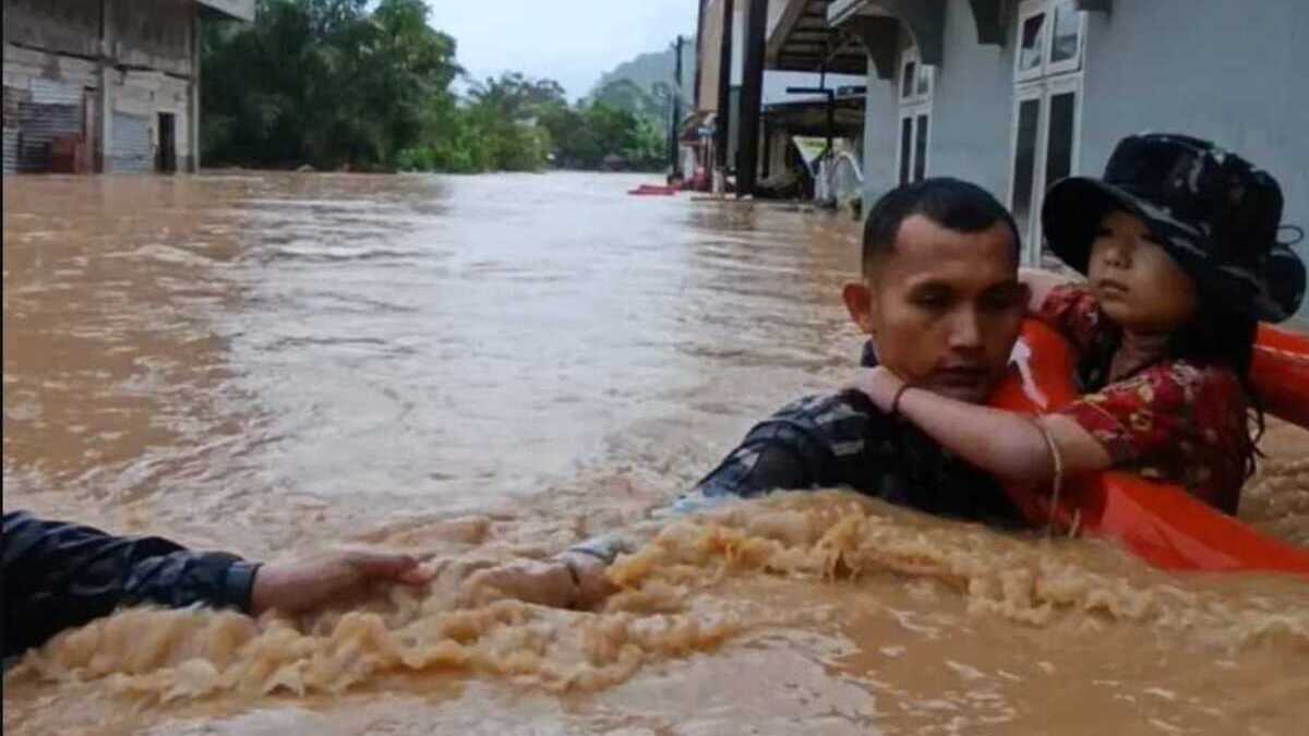 Death toll rises to 867 as Sumatra floods and landslides intensify scrutiny of illegal logging
