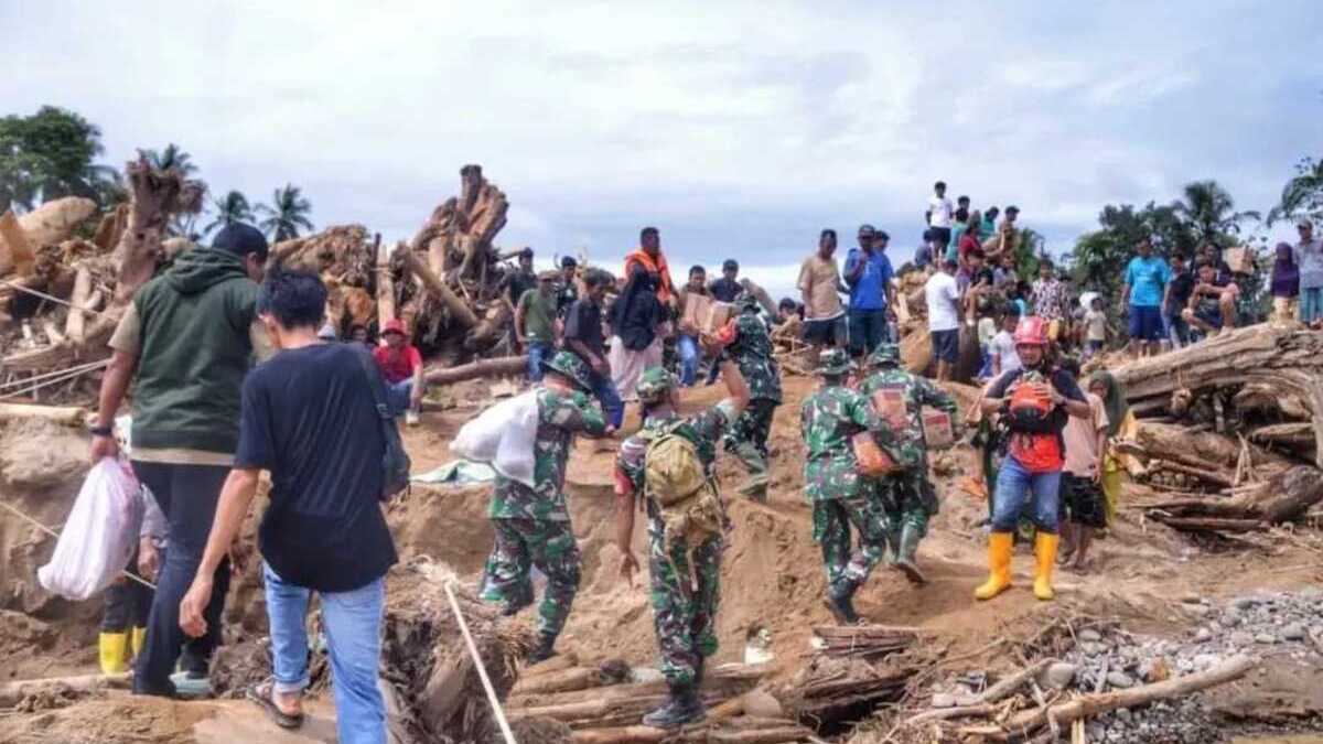Indonesia launches joint probe into illegal logging after floods kill more than 800 people
