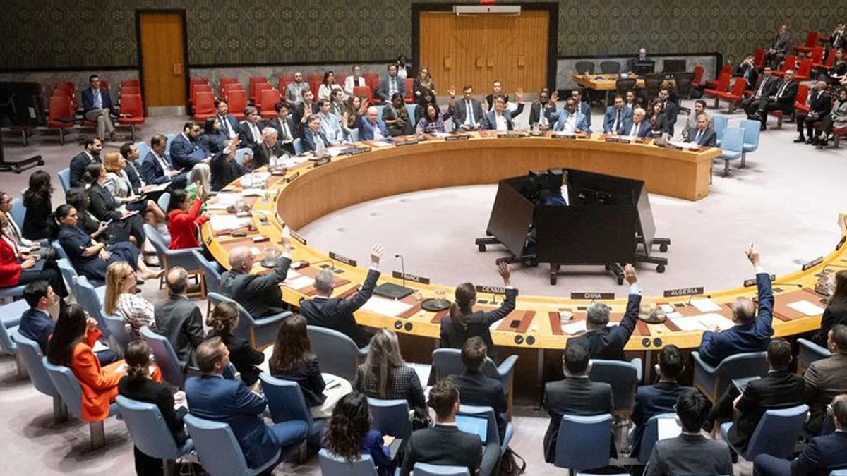 Call to abolish UN veto power gains support from rights groups on Human Rights Day