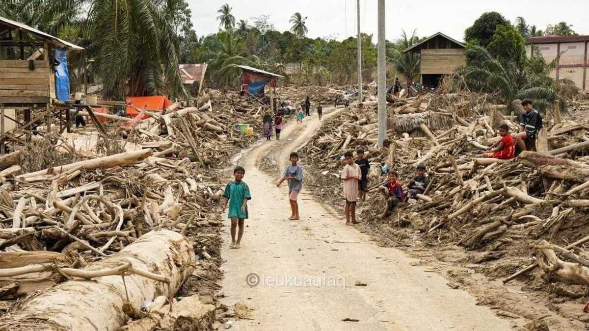 Indonesia clarifies limited use of flood-borne timber for rebuilding after Sumatra disasters