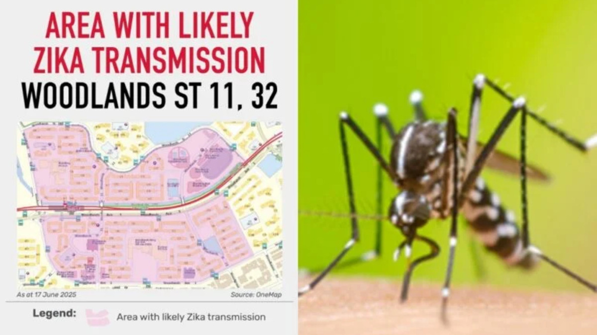 Zika tile.jpg