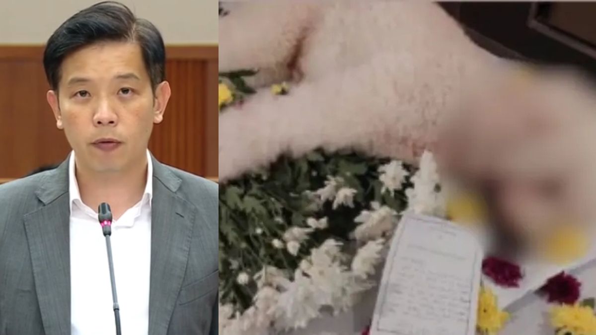 NParks probes 54 pet grooming complaints, considers CCTV rules as animal welfare concerns raised in Parliament