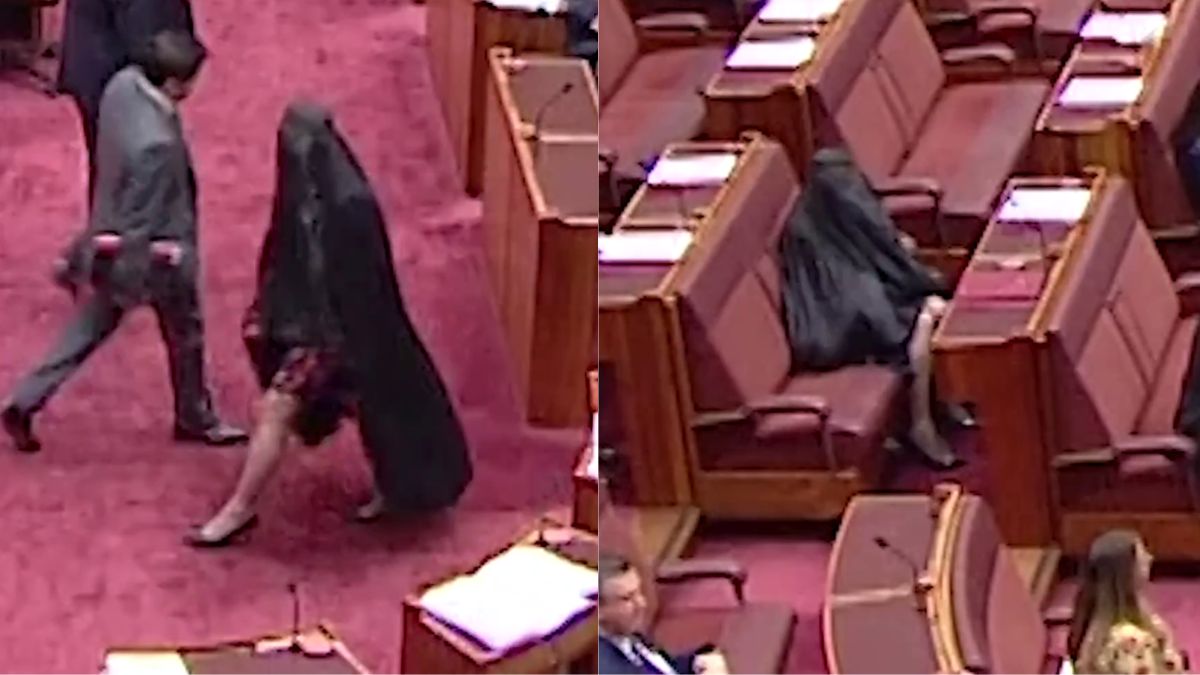 Pauline Hanson suspended from Australian Senate after wearing burqa in chamber