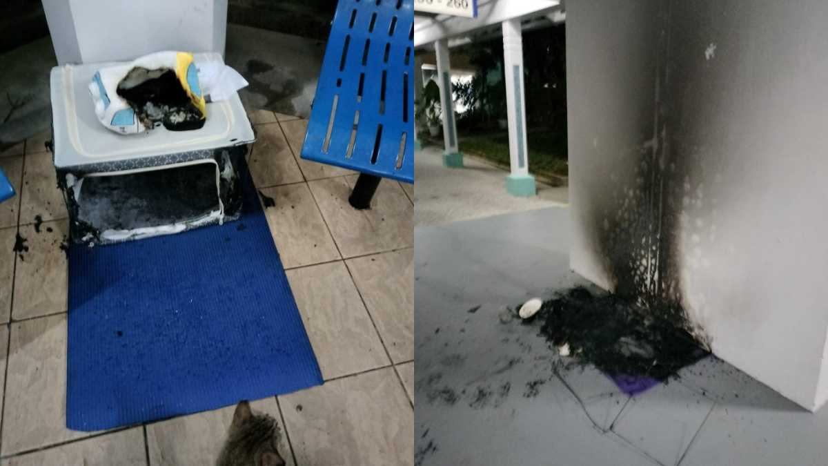 67-year-old man arrested after alleged arson of community cat houses in Bukit Batok