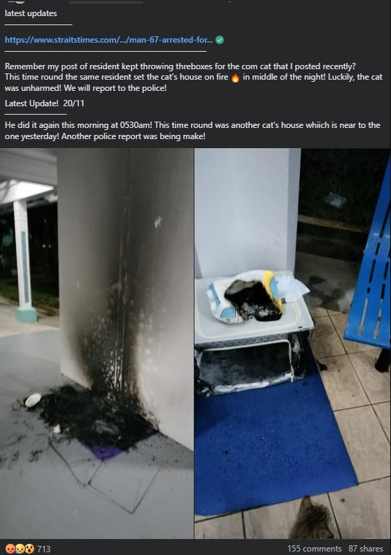 cat house burned.jpg