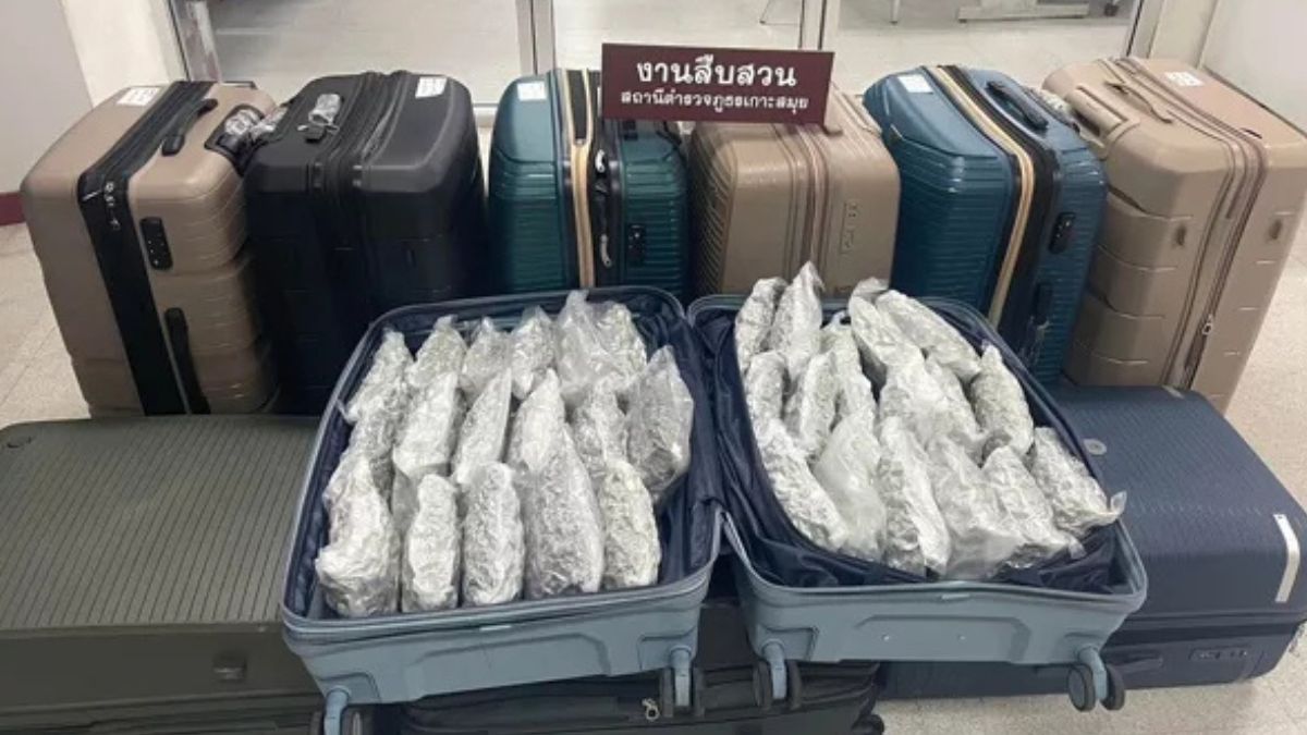 Thai customs: Tourists using Singapore as a transit hub for cannabis trafficking to the UK