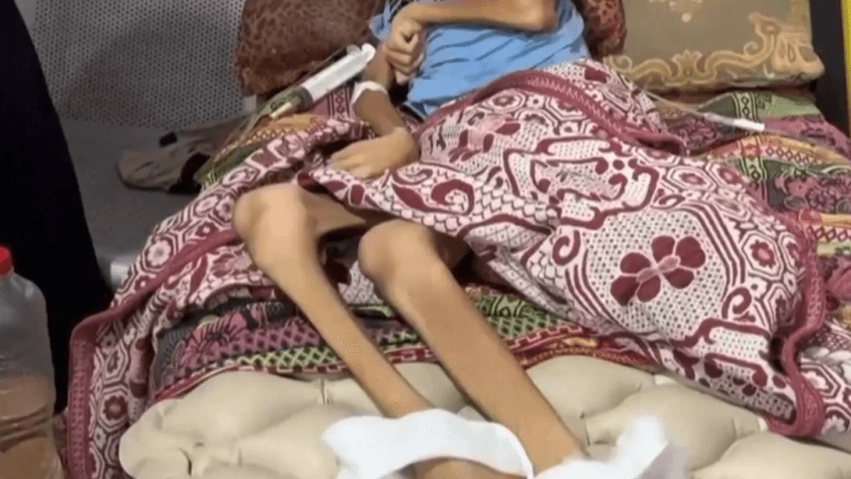 gaza starvation.png