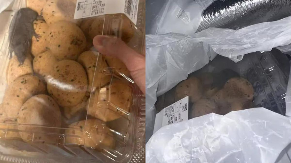 Shenzhen shopper finds live rat inside box of mochi bought via Sam’s Club delivery