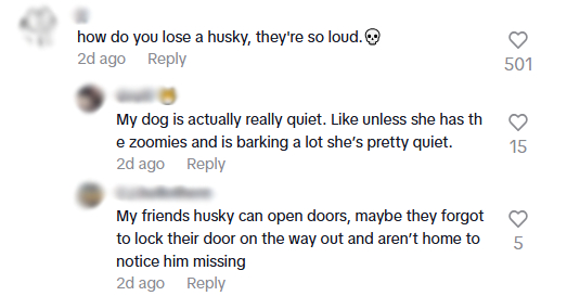 lost husky comments2.jpg