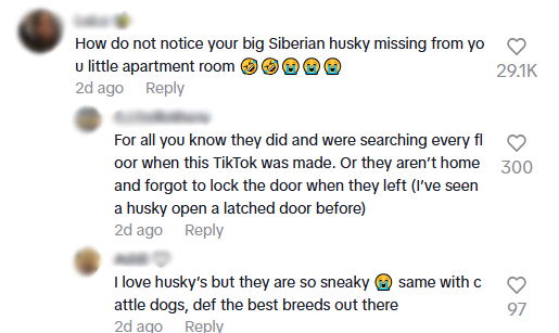 lost husky comments3.jpg