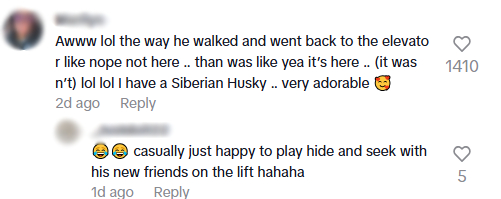 lost husky comments4.jpg