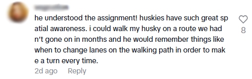 lost husky comments5.jpg