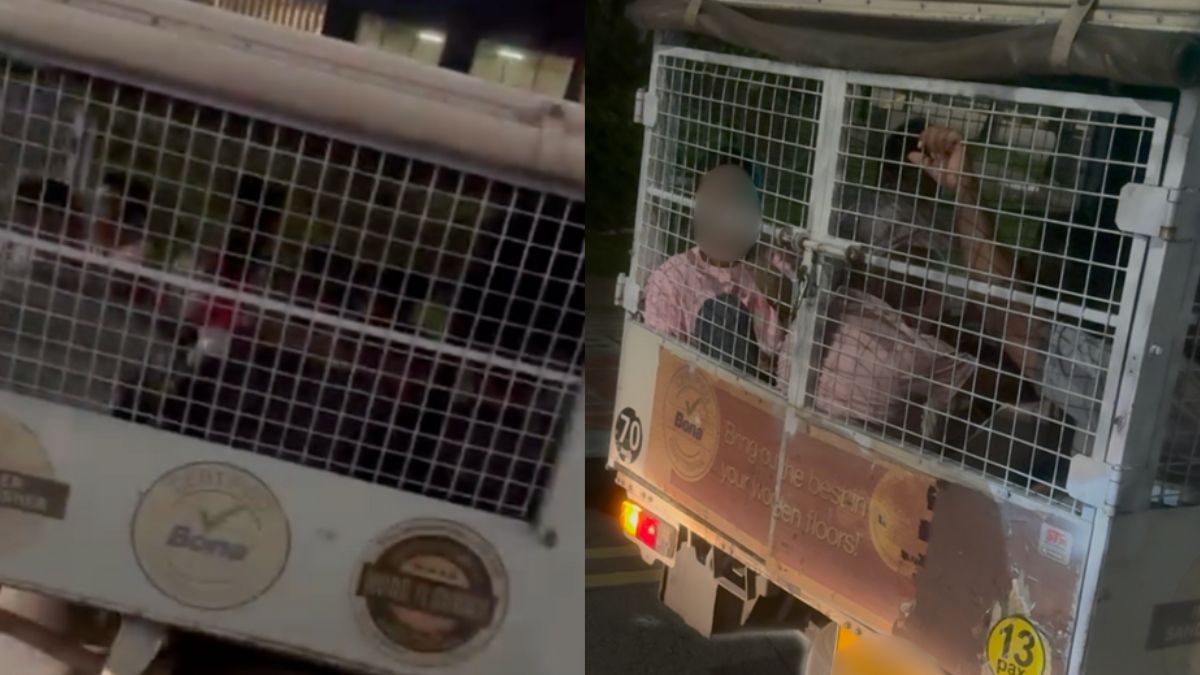 Migrant workers seen locked in caged lorry compartment, netizens urge authorities to take action
