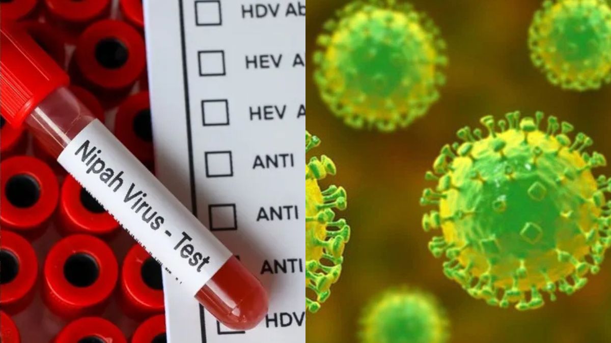 Indonesia reports no Nipah cases, boosts surveillance as regional outbreak fears grow