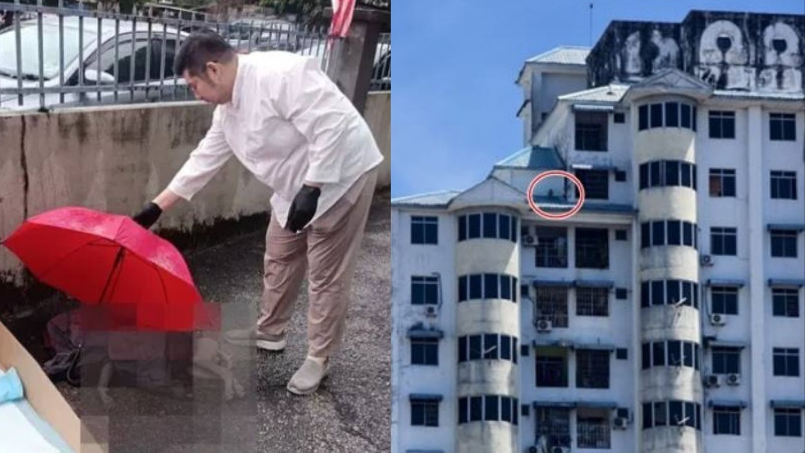 Dog stranded on Penang apartment roof for nine days dies after fall