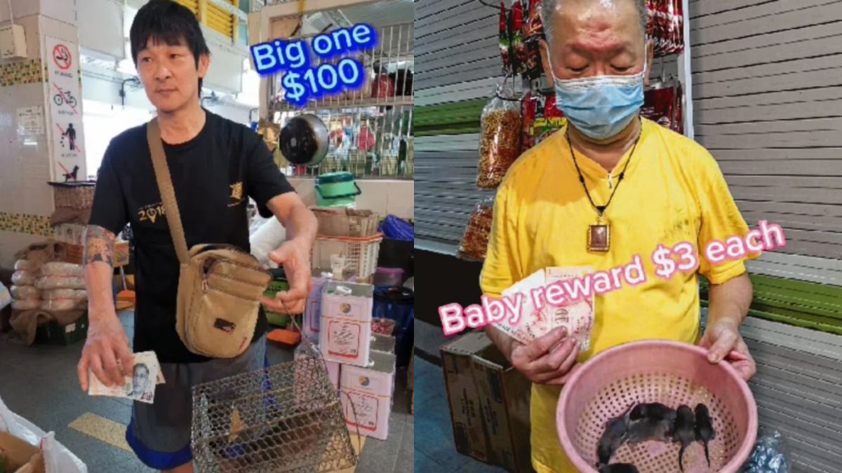 Catch a rat, earn cash: Clementi hawker centre offers rewards to tackle rodent problem