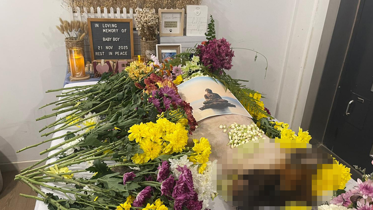 Cremation held for Baby Boy, the stray dog at heart of Seletar trapping controversy