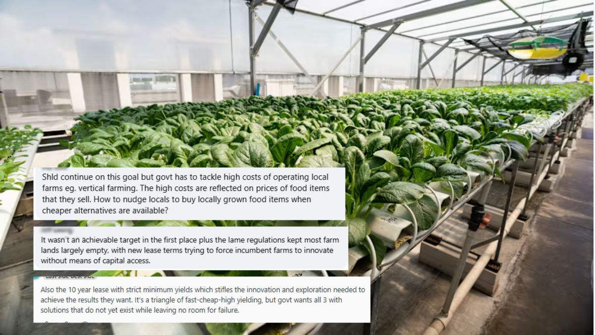 Netizens doubt Singapore’s revised ‘30 by 30’ food plan, cite high costs for local produce